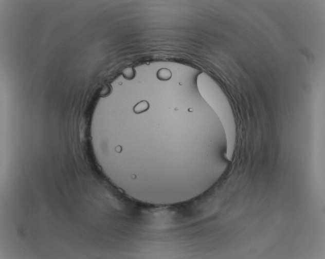 X0000113240219200910081304