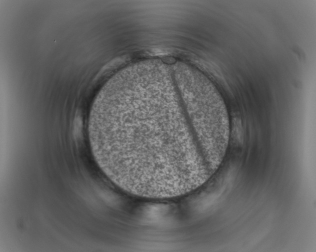 X0000113240220200910081304
