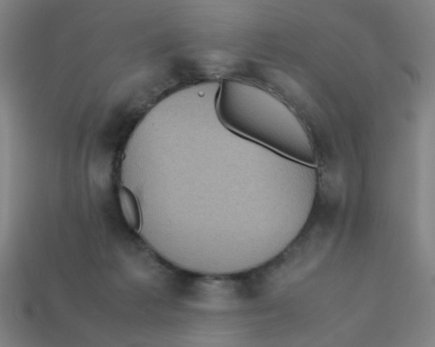 X0000113240221200910081304