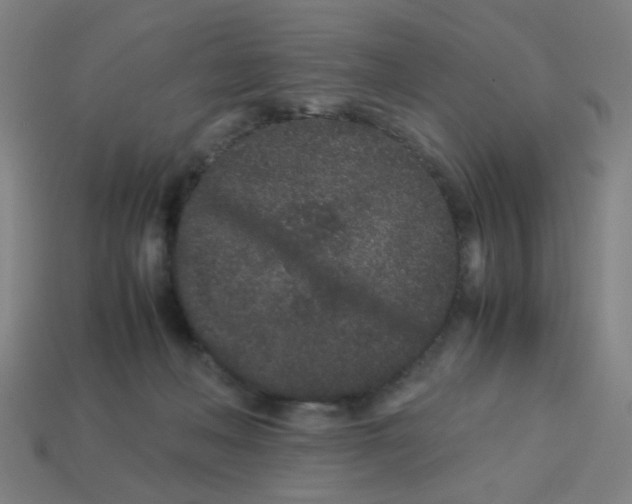 X0000113240222200910081304