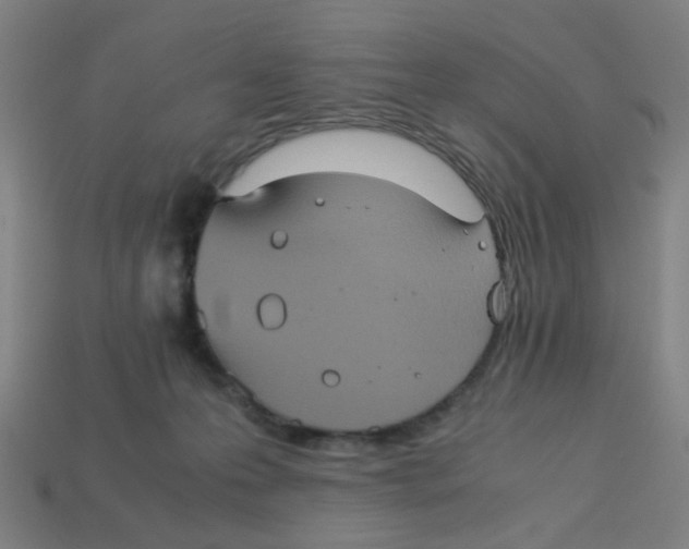 X0000113240223200910081304