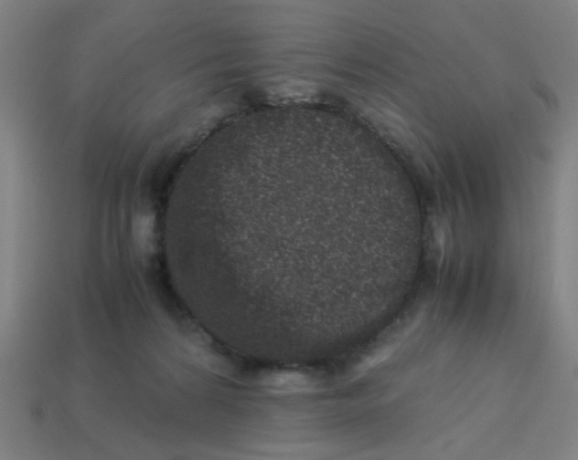 X0000113240224200910081304