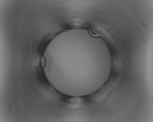 X0000113240225200910081304