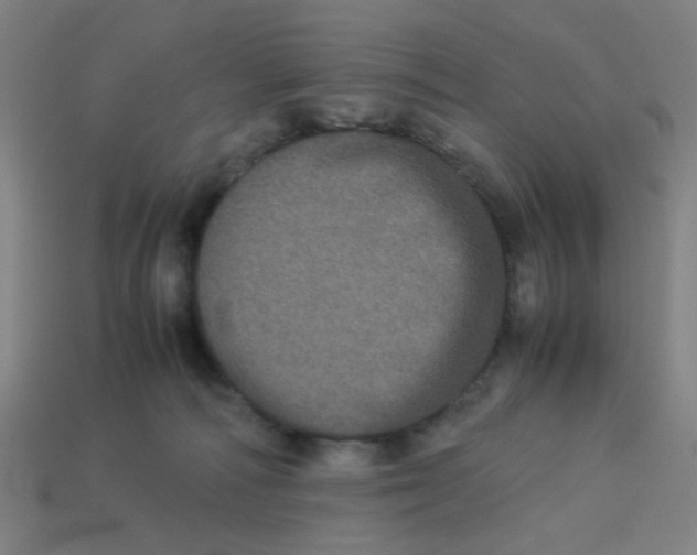 X0000113240226200910081304