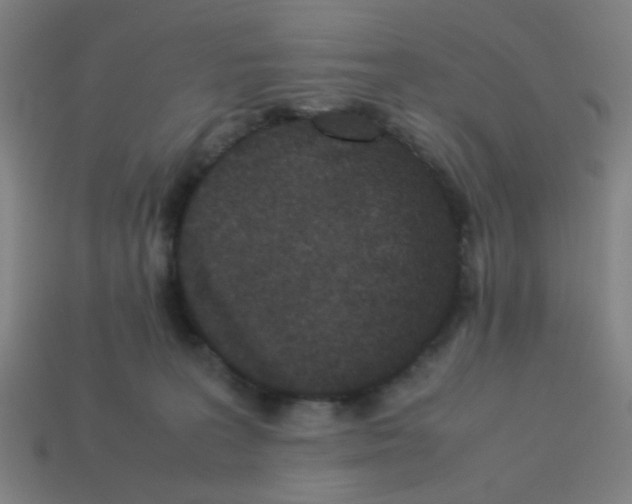 X0000113240227200910081304