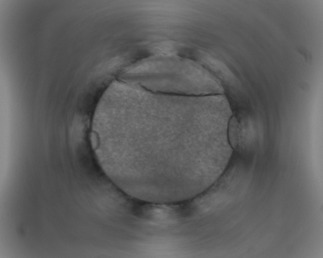 X0000113240229200910081304