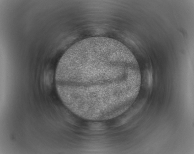 X0000113240230200910081304