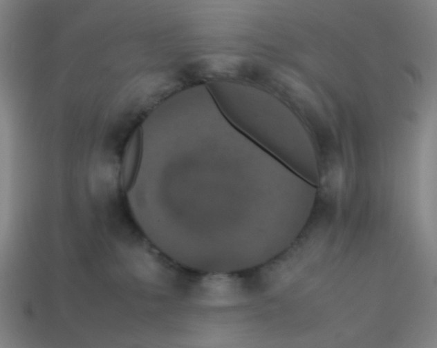 X0000113240231200910081304