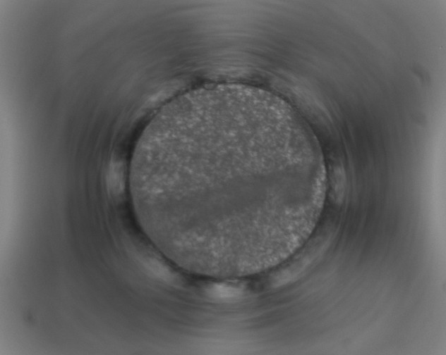 X0000113240232200910081304