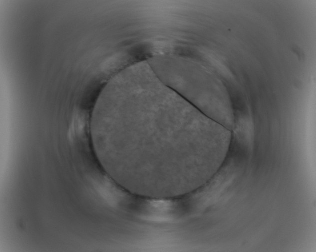 X0000113240233200910081304