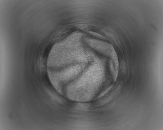X0000113240234200910081304