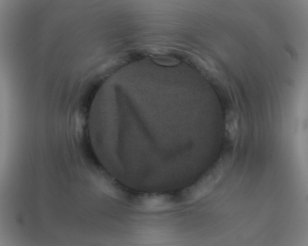 X0000113240235200910081304