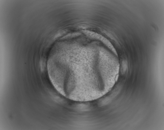 X0000113240236200910081304