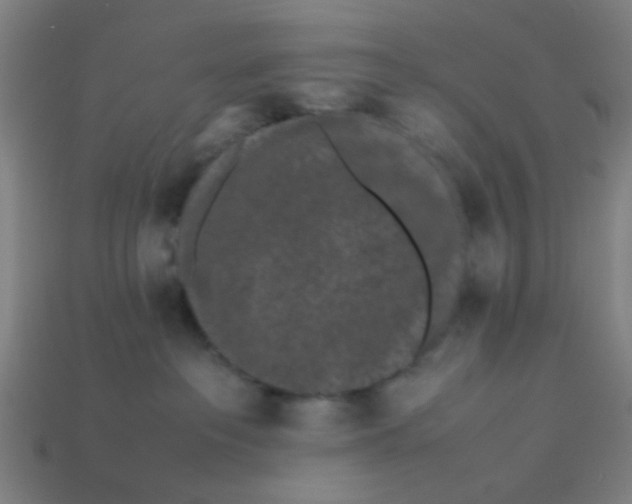 X0000113240237200910081304