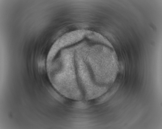 X0000113240238200910081304