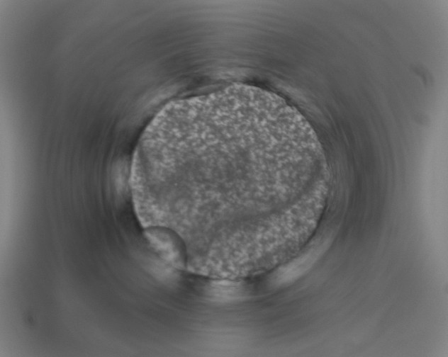 X0000113240240200910081304