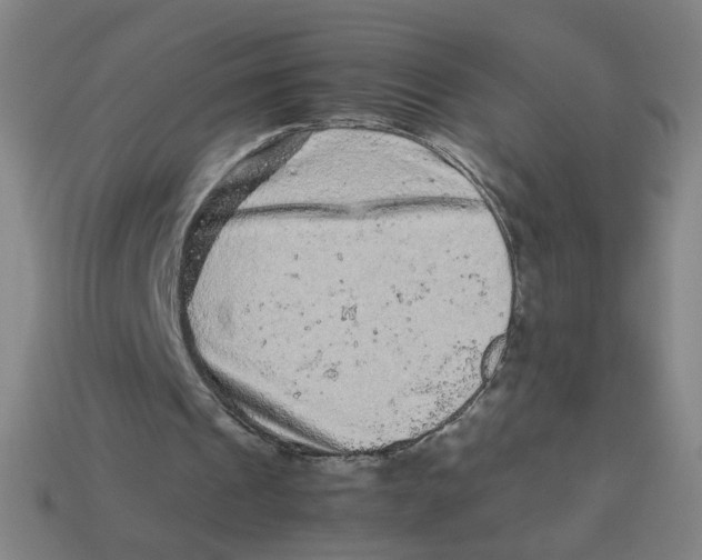 X0000113240241200910081304