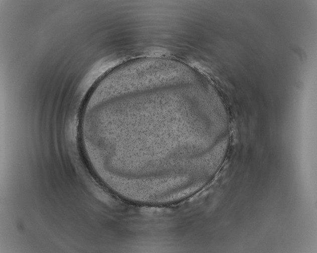 X0000113240242200910081304