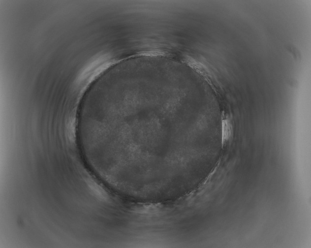 X0000113240243200910081304