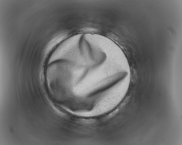 X0000113240245200910081304
