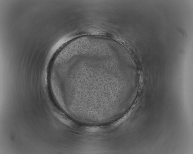 X0000113240246200910081304