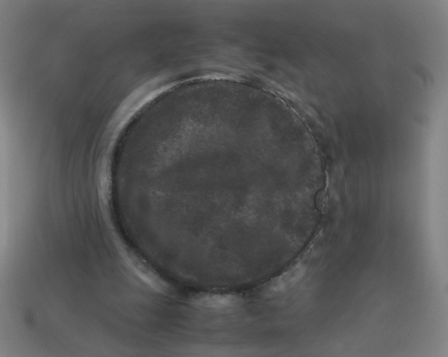 X0000113240247200910081304