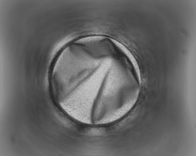 X0000113240248200910081304