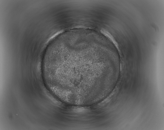 X0000113240249200910081304