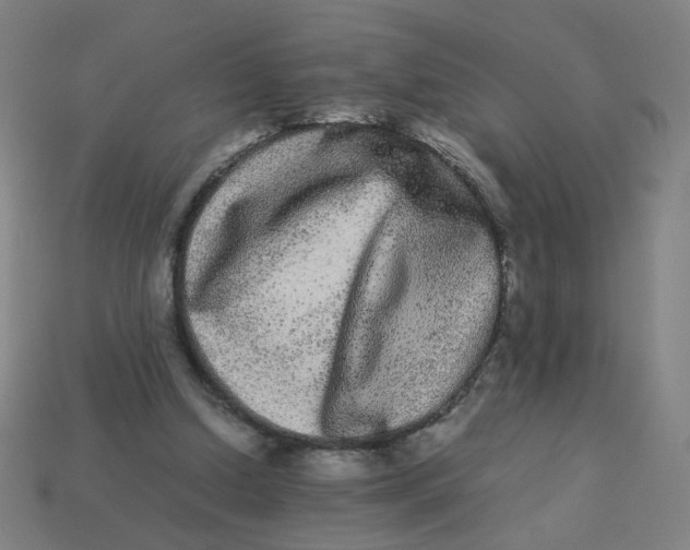 X0000113240250200910081304