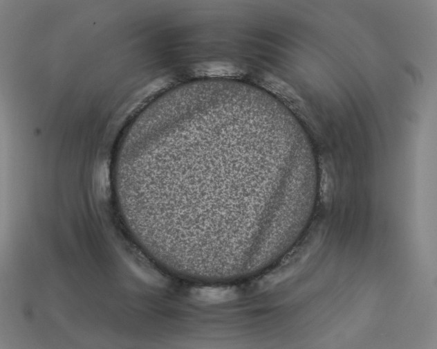 X0000113240251200910081304