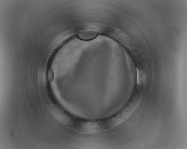 X0000113240252200910081304
