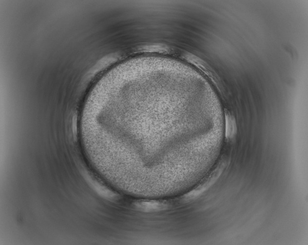 X0000113240253200910081304