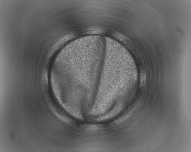 X0000113240254200910081304