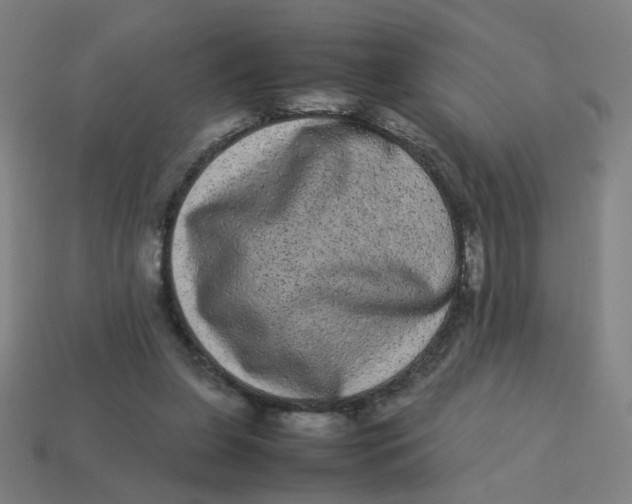 X0000113240255200910081304