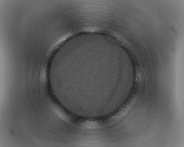 X0000113240256200910081304