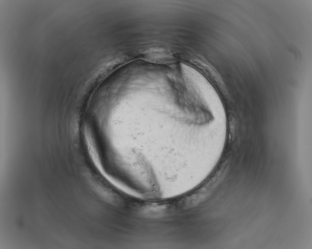 X0000113240257200910081304