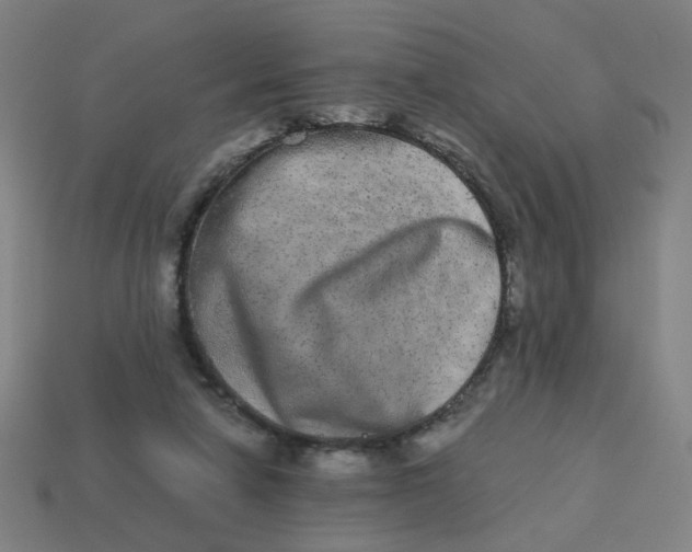 X0000113240258200910081304