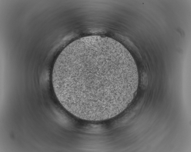 X0000113240260200910081304