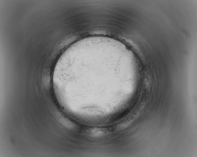 X0000113240261200910081304