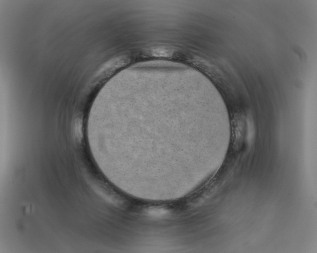 X0000113240262200910081304