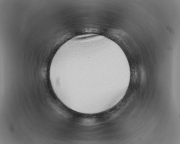 X0000113240263200910081304