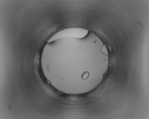 X0000113240264200910081304
