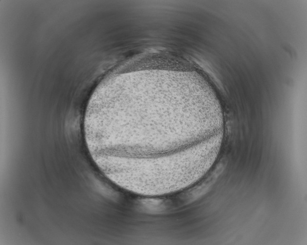 X0000113240265200910081304