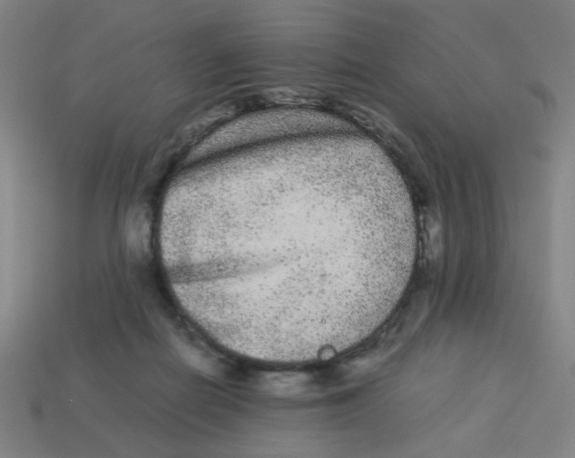 X0000113240266200910081304