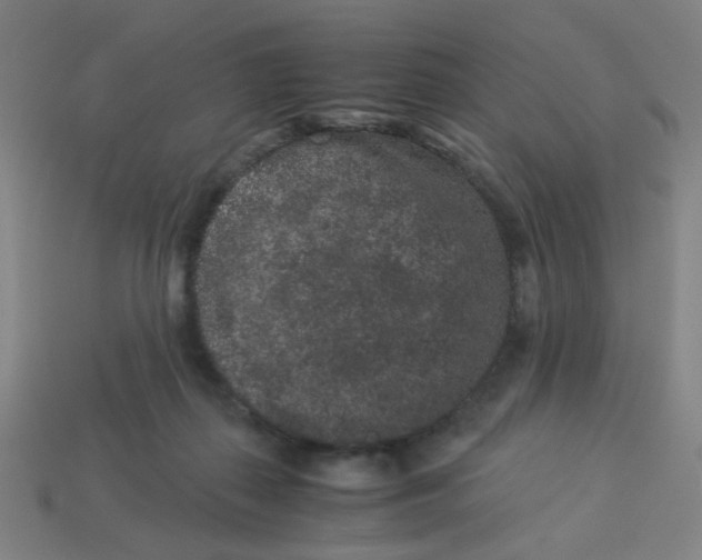 X0000113240267200910081304