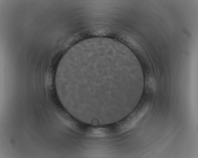 X0000113240268200910081304