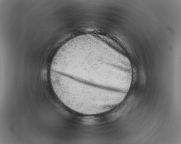X0000113240269200910081304
