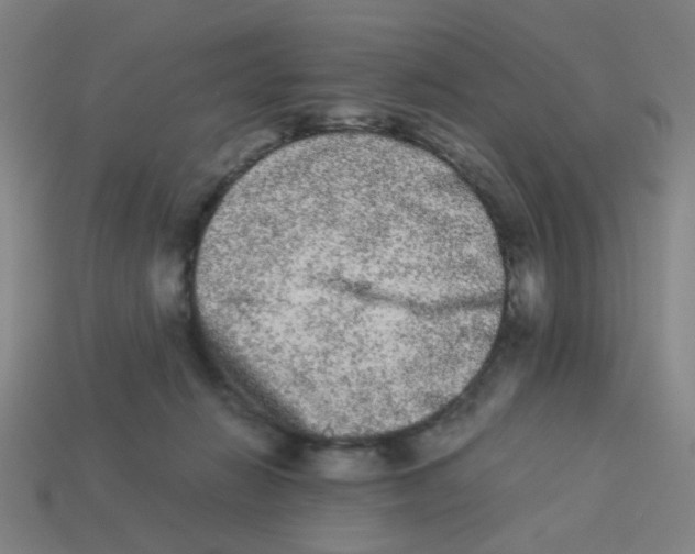 X0000113240270200910081304
