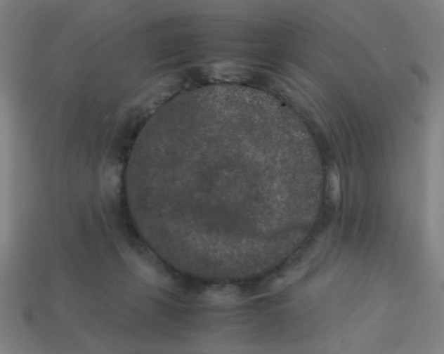 X0000113240271200910081304
