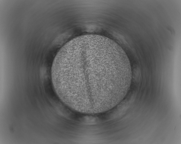 X0000113240272200910081304